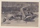 FRANCE  --  WW!  --   4 X ORIGINAL PHOTO 10,5 Cm X 7, 2 Cm  --   DEATH SOLDIER, CADAVER, DESTROYED  CONVOI - 1914-18