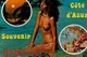 CPM - Une Belle Belle Jeune Fille Aux Seins Nus Dans La Mer En 1981 - Côte D' Azur - Scans Recto-Verso - Pin-Ups