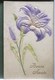 Cpa Lot 5x Litho Illustrateur Art Nouveau Divers Dont C. KLEIN Et Relief Dorure Theme Fleur De Lys - Sammlungen & Sammellose