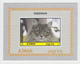 Delcampe - Cats Ajman **, Imperforated Set Of 8 - Hauskatzen