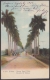 POS-910 CUBA POSTCARD. 1901. HAVANA, ROYAL PALM AVENUE TO FRANCE. USED. - Cuba