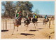 Oudtshoorn: OSTRICHES / VOLSTRUISE / STRUISVOGELS Racing At Full Speed - Highgate Ostriche Farm - South Africa - Zuid-Afrika