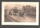 Hamilton - Fuhrwerke / Voiture - Carte Gaufrée / Waffled - Horses - Attelage - Hamilton