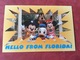 USA. Greetings From Florida. Disney 1998 - Disneyworld