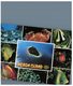 (PF 950) Australia - QLD - Heron Island (with Stamp At Back Of Card) - Great Barrier Reef