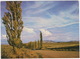 Rural Scene, O.F.S. / O.V.S. 'n Landlike Toneel - South-Africa - South Africa