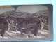 The Valley Of Kedron & Village Of Siloam PALESTINE ( N° 14 ) Stereo Photo : Underwood & Underwood Publi ( Voir Photo ) ! - Stereoscoop