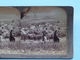 Bethany , Where Our Lord Was Anointed Palestine ( N° 36 ) Stereo Photo : Underwood & Underwood Publi ( Voir Photo ) ! - Photos Stéréoscopiques