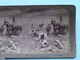 A Barley Harvest Near Bethelhem Palestine ( N° 40 ) Stereo Photo : Underwood & Underwood Publi ( Voir Photo ) ! - Photos Stéréoscopiques