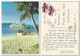 Tonga - Blue Lagoon Cruises Ship ,used Air Mail 1979 - Tonga