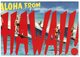 (715) USA - Hawaii Surfers - Wasserski