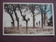 CPA 84 LAPALUD Domaine De Belle Ombre SEPIA Fond Bleuté 1950 - Lapalud