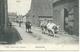 Doel - Middenstraat ,carte Animée Enfants Vaches . N1218 F. Hoelen - Ph Cappellen - Beveren-Waas