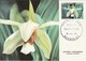 Delcampe - Lot De 14 Cartes Maxi Orchidées Papillons Oiseaux, Aquarium De Noumea - Cartoline Maximum