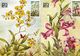 1987 - FLOWERS - ORCHIDS - Cartes-maximum