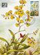 1987 - FLOWERS - ORCHIDS - Cartoline Maximum