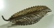 Silver Brooch * Leaf - Broches