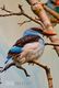 T21-110 ] Kingfisher Bird Oiseau Vogel  De Vogel, China Pre-paid Card,  Postal Stationery - Other & Unclassified