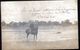 Argentine, Carte Photo Du Rio Quarto Avec Cavalier - Argentine