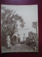 PHOTO ALGERIE Vers 1905 MARABOUT à La BOUZAREAH Banlieu Ouest D'Alger 19,5 Cm X 25,2 Cm - Afrique