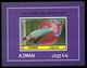 Fish, Betta Splendens, Ajman - Poissons