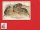 DUROYON RAMETTE  Jolie Chromo SOURIS RAT FROMAGE - Autres & Non Classés