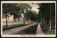 B2614 - Westensee - Strand Weg - Gel 1916 - Hermann Arbien Kiel - Rendsburg