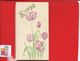 NANCY  ARC EN CIEL PAULIN Rue Raugraff   Superbe Calendrier ART NOUVEAU TULIPES - Kleinformat : 1901-20