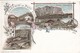 CARTOLINA - POSTCARD - BOLZANO - GRUSS AUS PREDRACES IM ABTEITAL TIROL - Bolzano