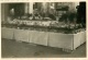 Delcampe - 9 PHOTOS DE   COULOMMIERS  EXPOSITION DE FRUITS EN 1949  FORMAT  8 X 6 CM - Lieux