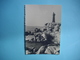 PHOTOGRAPHIE   PLOUMANACH - 22  - Phare De Ploumanac'h -  8,5 X  12 Cms - 1955  -  Côtes D'Armor - Ploumanac'h