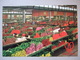 AALSMEER / CUTFLOWER SECTION UNITED FLOWER MARKETS - Aalsmeer