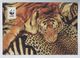 WWF - LA TIGRE - TIGER (3) - Tigri