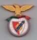 SLB BENFICA LISBOA LISBON PORTUGAL SOCCER FRIDGE MAGNET LICENSED PRODUCT - Sports