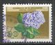 Salvador, El 1965. Scott #754 (U) Flower, Hortensia * - Salvador