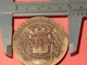 MÉDAILLE VILLE DE CHARENTON LE PONT PAR RIVES EN BRONZE DIA.50 Mm POIDS 51.50 Gr. - Altri & Non Classificati