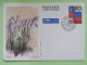 Liechtenstein 2016 Stationery Postcard ""flowers"" Vaduz - Covers & Documents
