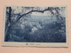 PANORAMA ( Schaack - Série 5 N° 24 ) Anno 1931 ( Zie Foto Details ) ! - Diekirch