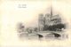 Delcampe - LOT N°435 - LOT DE + 200 CARTES DE NOTRE DAME DE PARIS - " LES ANCIENNES " - Notre Dame De Paris