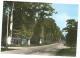 CPSM COLORISEE CRECY EN PONTHIEU, LA FORET, SOMME 80 - Crecy En Ponthieu