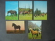 Lot De 21 Cartes Postales CHEVAUX - PAARDEN - HORSES - Horses