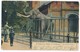 Hamburg - Zoologischer Garten, Der Elefant Anton. Unidivided Back, 1905, Postally Used, Message. - Other & Unclassified