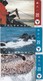 Faroe Islands, OD-025 - 27, Set Of 3 Cards, Faroese Fishing, 2 Scans. - Faroe Islands