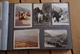 Delcampe - Album Photos De Famille Année 50 Et 60 Noir Et Blanc Et Début Couleur 120 Photos - Album & Collezioni