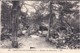 77-----forêt De Fontainebleau---rochers Du Mont Ussy---voir 2 Scans - Fontainebleau