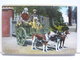 BELGIQUE - ATTELAGE DE CHIENS FLAMAND - LAITIERE FLAMANDE - 2 CARTES - Chiens