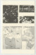 L' ESPANSIONISMO  FASCISTA    L' EUROPA  NEL  1943   2  SCAN  (NUOVA ) - Altri & Non Classificati