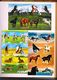 Delcampe - Album With More Than 800 Horse Stickers For Collecting  Scrapbooking  Card Making Crafts 800 Autocollants Chevaux (Sv.) - Scrapbooking