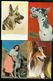Beau Lot De 60 Cartes Postales Semi Modernes Gr. Format De Fantaisie Chiens Chien   Mooi Lot Van 60 Postk. Fantasie Hond - 5 - 99 Cartes