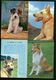 Delcampe - Beau Lot De 60 Cartes Postales Semi Modernes Gr. Format De Fantaisie Chiens Chien   Mooi Lot Van 60 Postk. Fantasie Hond - 5 - 99 Cartes